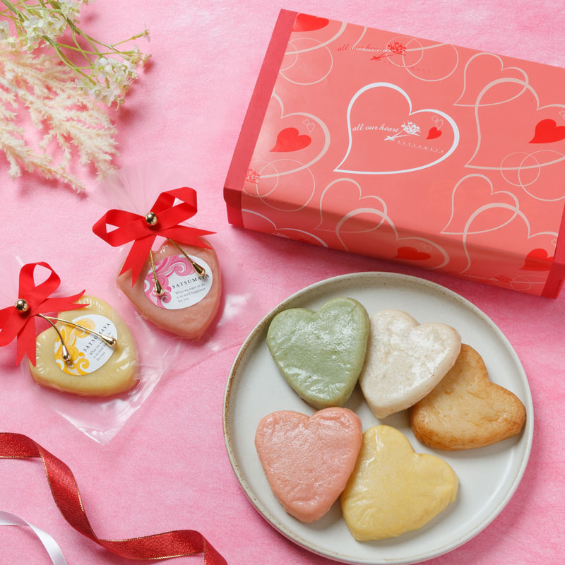 薩摩家 バレンタインセット SV-1 (真空)