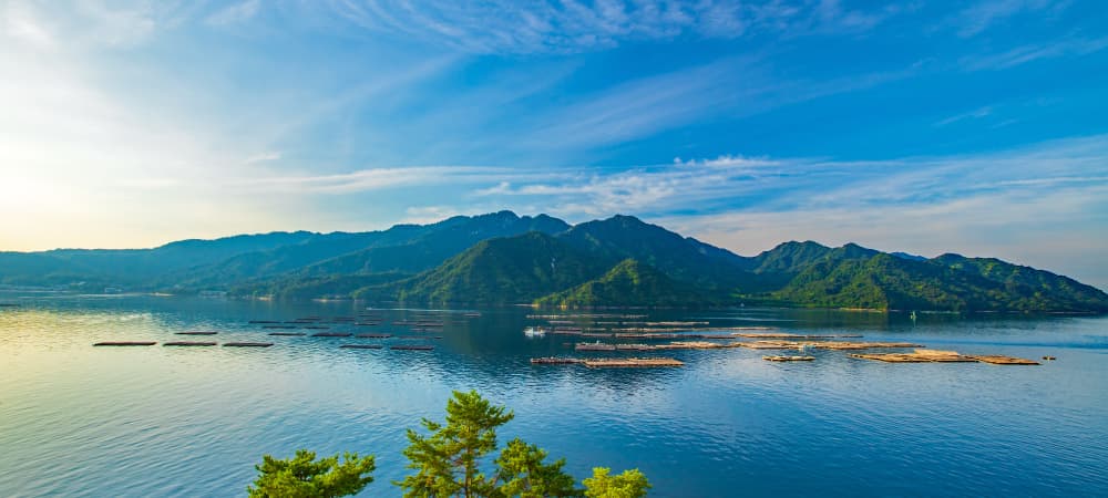 牡蠣養殖の名産地 広島