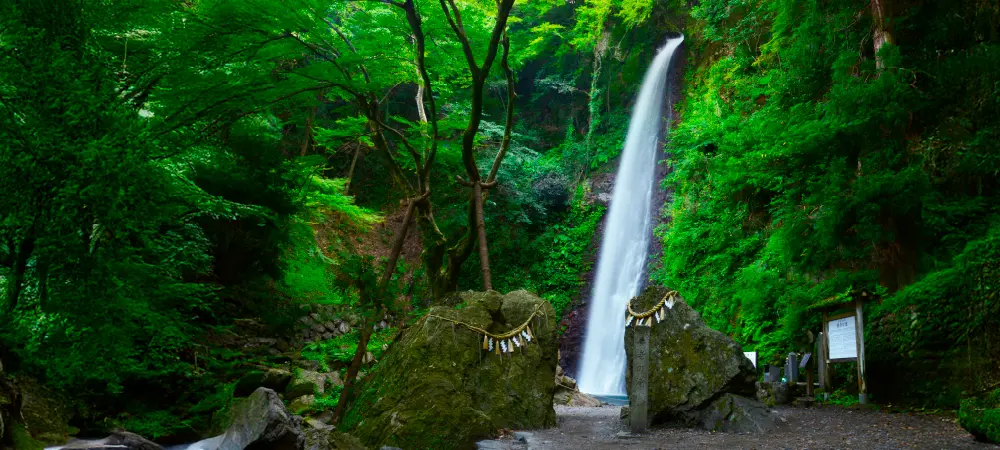 養老渓谷イメージ画像