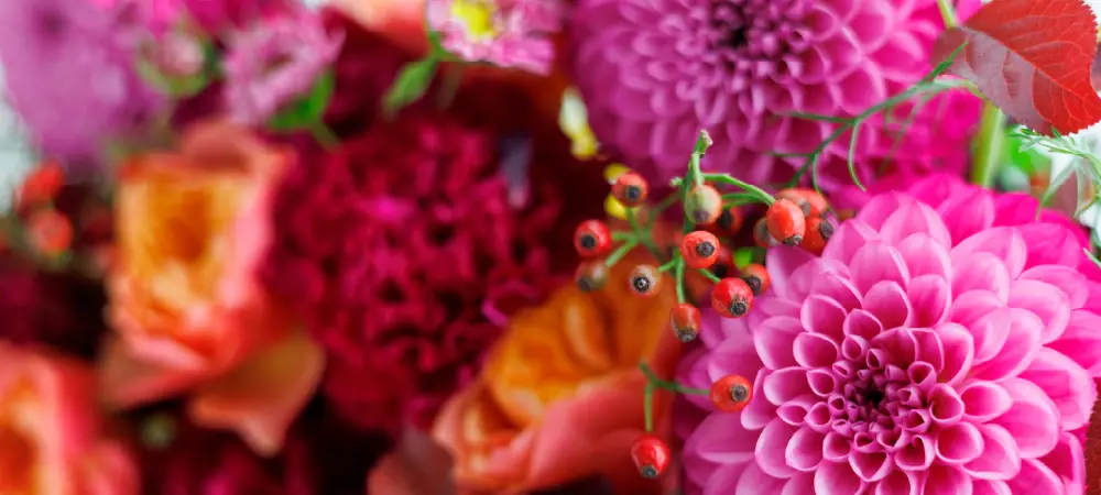 花束イメージ画像