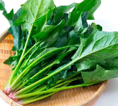 ほうれん草イメージ