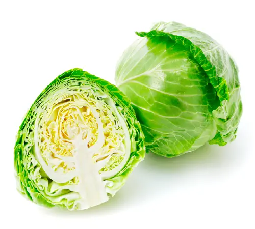 きゃべつイメージ