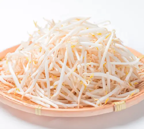 もやしイメージ