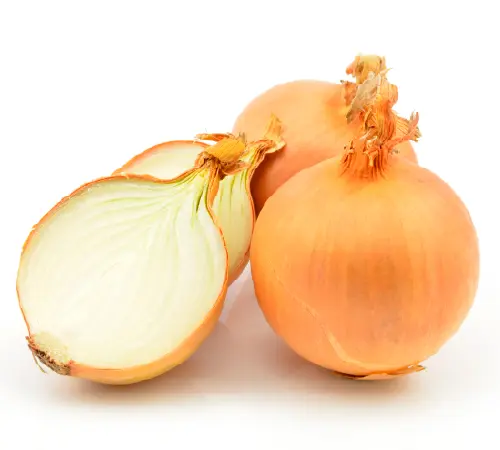 たまねぎイメージ