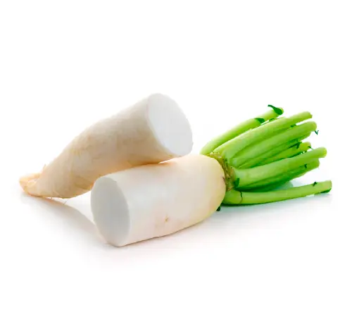 大根イメージ