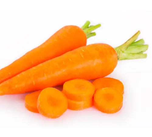 にんじんイメージ