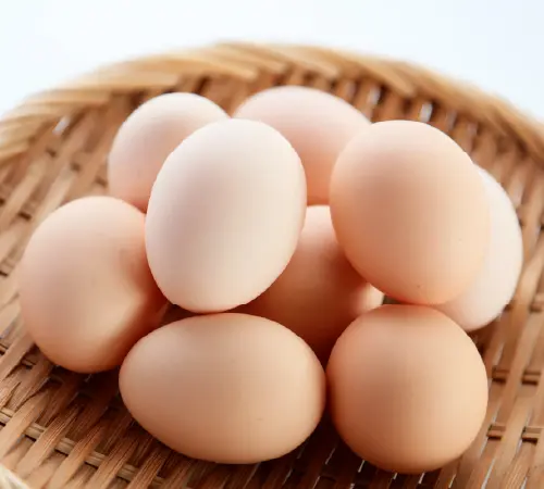生卵イメージ